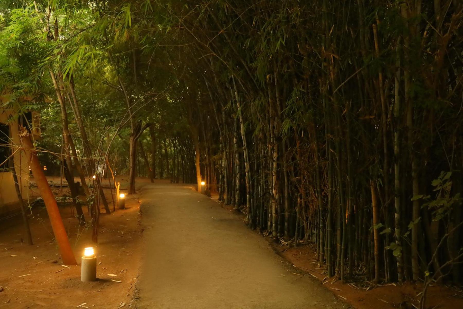 Panna Tiger Resort- Riverside Property Rājgarh Exterior foto